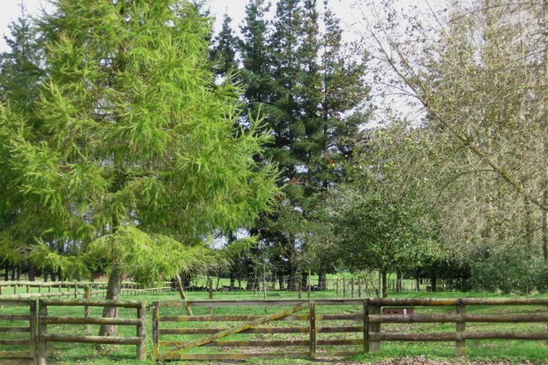 Photo of property in 1 Carson Street, Tokoroa, 3420