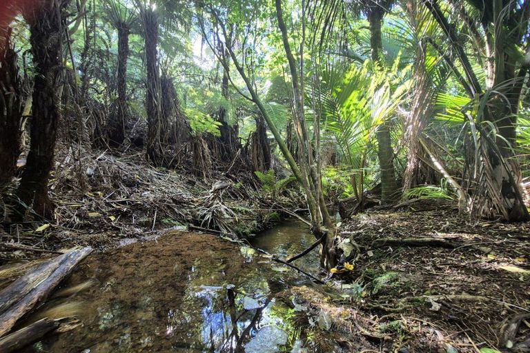 Photo of property in 1797 Colville Road, Amodeo Bay, Coromandel, 3584