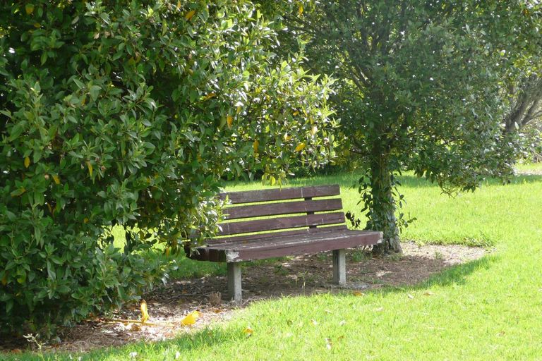 Photo of property in 48 Queen Mary Avenue, New Lynn, Auckland, 0600