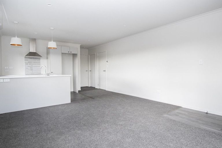 Photo of property in 18u3 Rothwell Street, Dinsdale, Hamilton, 3204