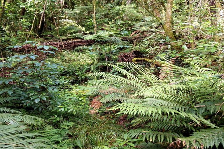 Photo of property in 132 Swetman Road, Waikino, Waihi, 3682