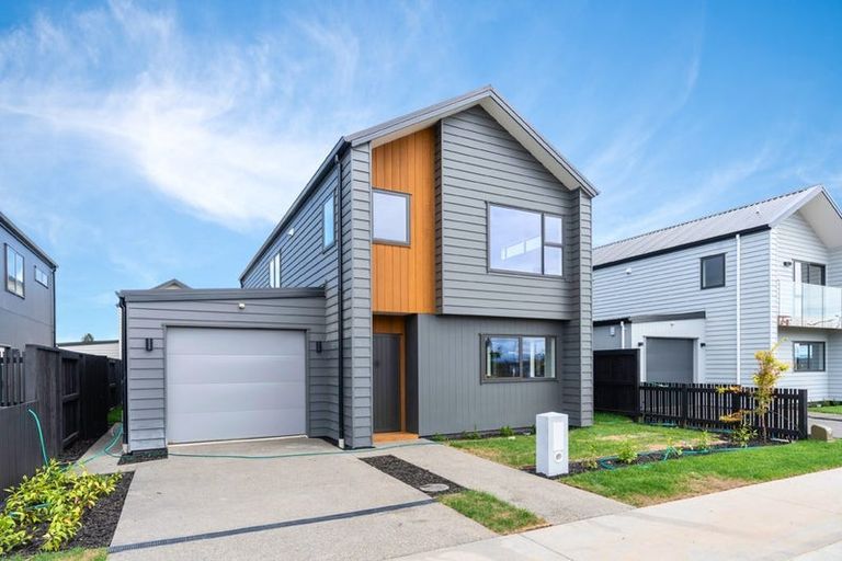 Photo of property in 31 Halley Drive, Chartwell, Hamilton, 3210