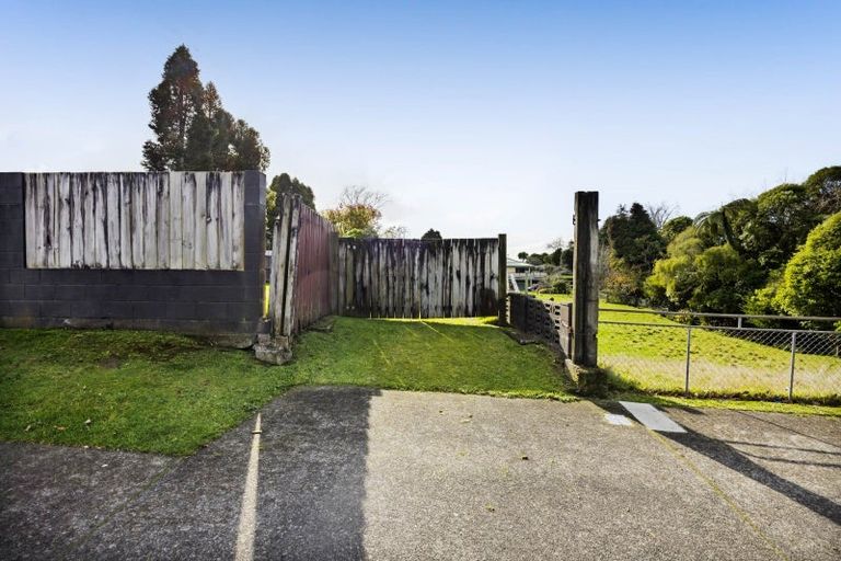 Photo of property in 20 Hinerua Street, Maungatapu, Tauranga, 3112