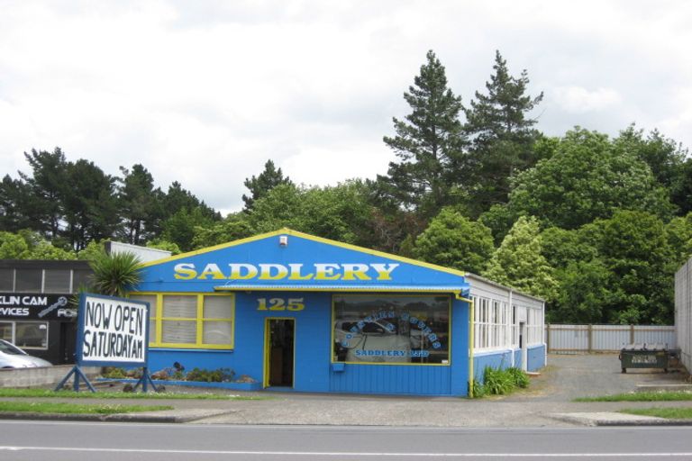 Photo of property in 162b Kitchener Road, Pukekohe, 2120