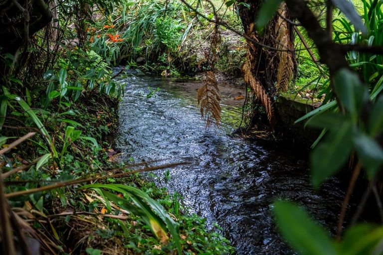 Photo of property in 60 Cole Street, Masterton, 5810