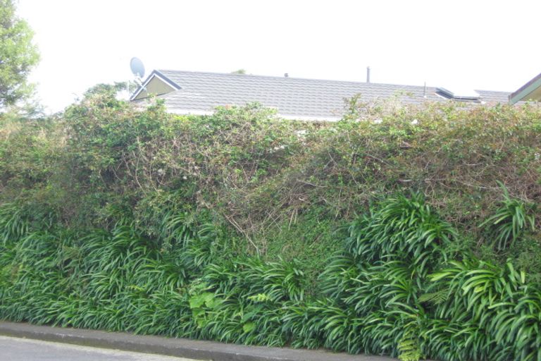 Photo of property in 1a Shortland Street, Lower Vogeltown, New Plymouth, 4310