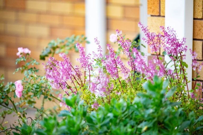 Photo of property in 10 Lochinver Drive, Nawton, Hamilton, 3200