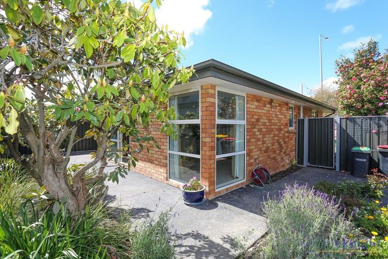 Photo of property in 87a Saint Martins Road, Saint Martins, Christchurch, 8022