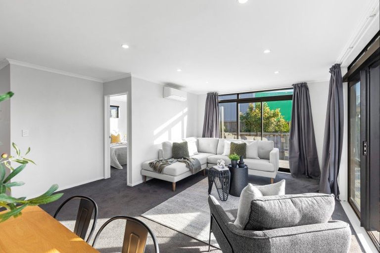 Photo of property in 24a Drake Street, Awapuni, Palmerston North, 4412