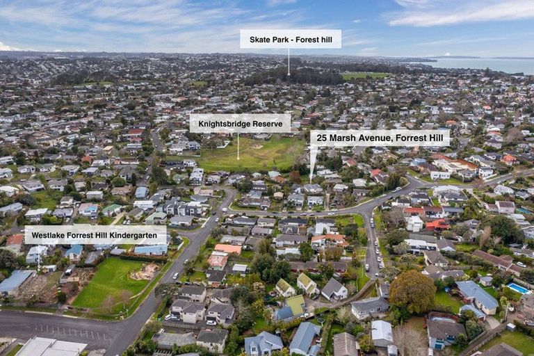 Photo of property in 25 Marsh Avenue, Forrest Hill, Auckland, 0620