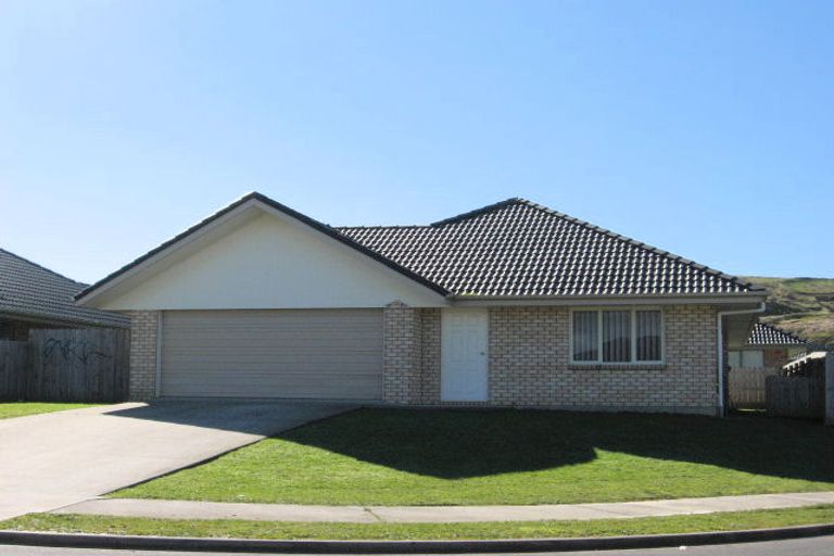 Photo of property in 32 Liddesdale Place, Papakura, 2110