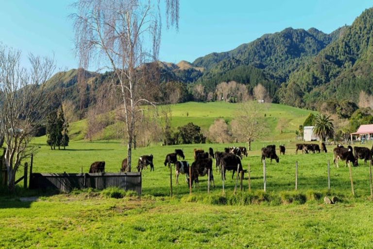 Photo of property in 37 East Avenue, Te Aroha, 3320