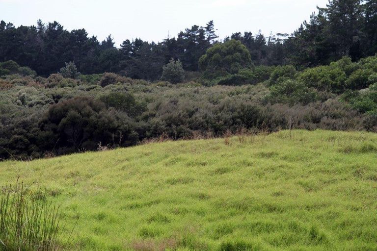 Photo of property in 540 Kimberley Road, Ngataki, Kaitaia, 0484