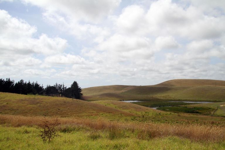 Photo of property in 540 Kimberley Road, Ngataki, Kaitaia, 0484