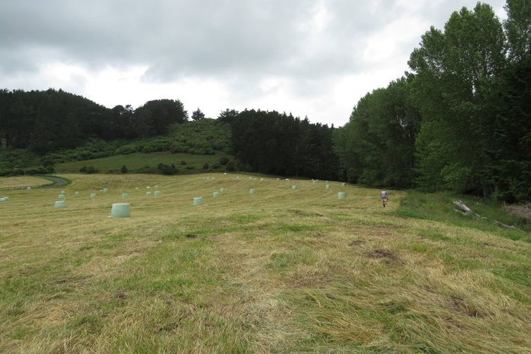 Photo of property in 387 Pokuru Road, Whakamaru, Mangakino, 3492