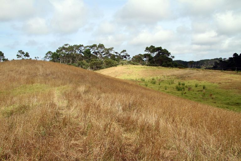 Photo of property in 540 Kimberley Road, Ngataki, Kaitaia, 0484