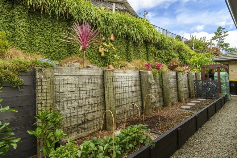 Photo of property in 53 Hallmark Rise, Bethlehem, Tauranga, 3110