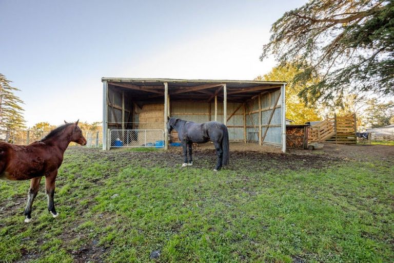 Photo of property in 180 Tipapakuku Road, Dannevirke, 4930