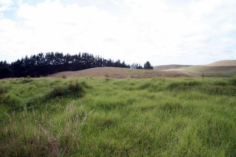 Photo of property in 540 Kimberley Road, Ngataki, Kaitaia, 0484