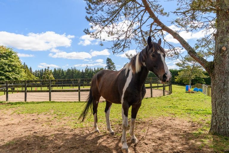 Photo of property in 1280 Omanawa Road, Omanawa, Tauranga, 3171