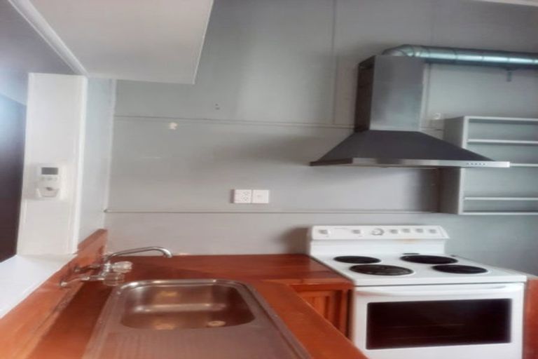 Photo of property in 117 Wallace Street, Mount Cook, Wellington, 6021