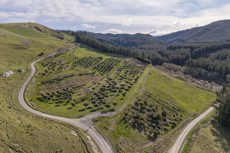 Photo of property in 101 Laidmore Road, Broomfield, 7482