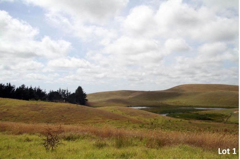 Photo of property in 540 Kimberley Road, Ngataki, Kaitaia, 0484