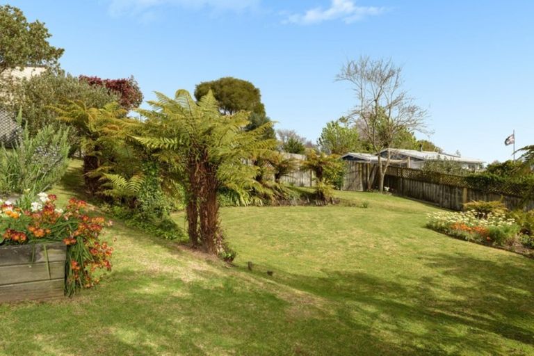Photo of property in 11 Mulberry Lane, Bellevue, Tauranga, 3110