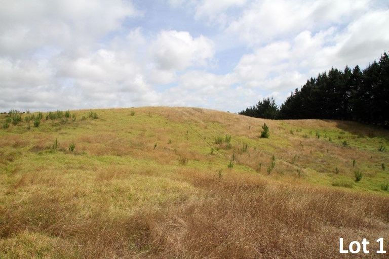 Photo of property in 540 Kimberley Road, Ngataki, Kaitaia, 0484