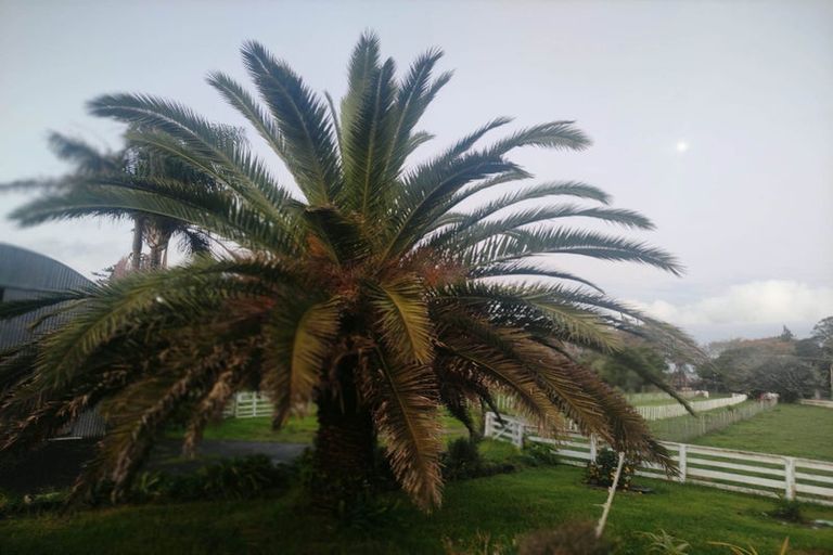 Photo of property in 32 Avon Road, Pokeno, 2471