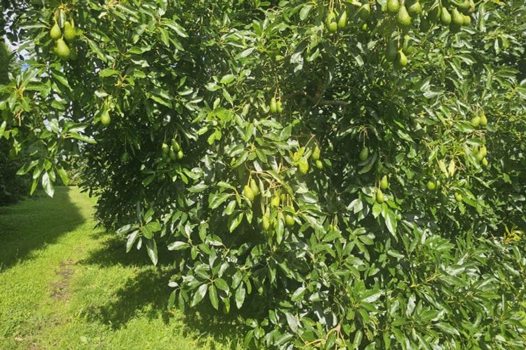 Photo of property in 559b Belk Road, Omanawa, Tauranga, 3171