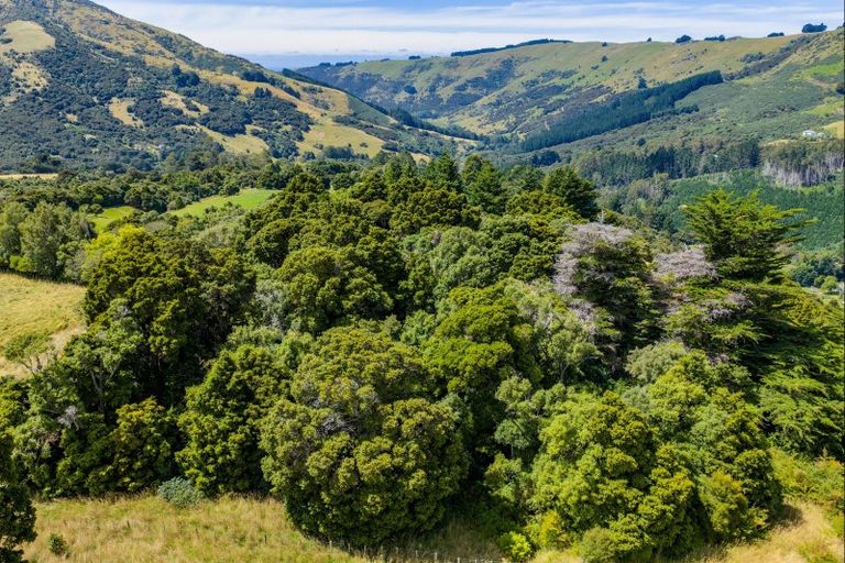 Photo of property in 342 Le Bons Bay Road, Le Bons Bay, Akaroa, 7583