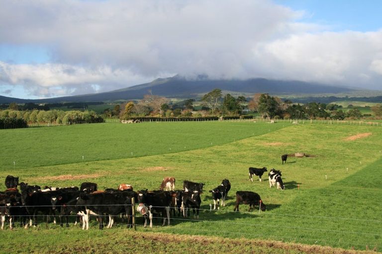 Photo of property in 192 Dover Road, Okato, New Plymouth, 4374