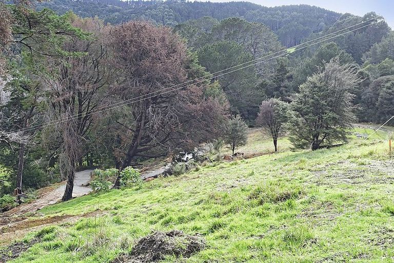 Photo of property in 99 Birdsall Road, Whangateau, 0985