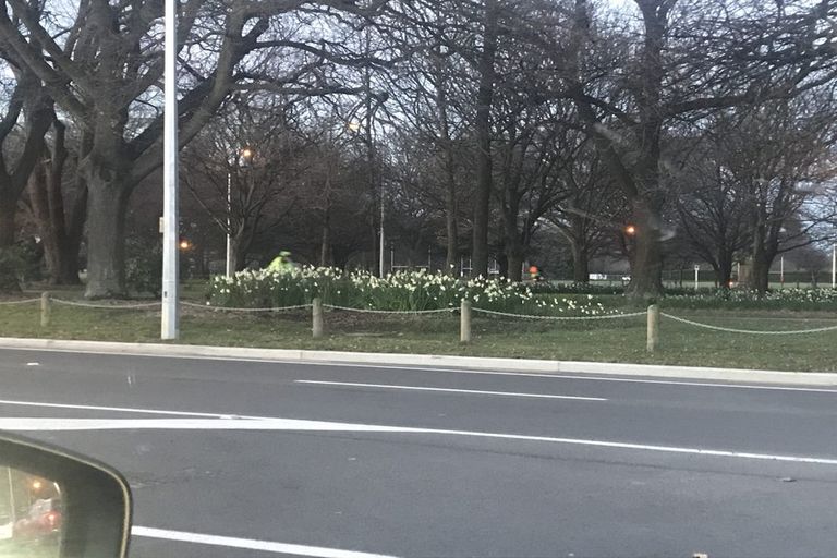 Photo of property in 22 Kilmarnock Street, Riccarton, Christchurch, 8011