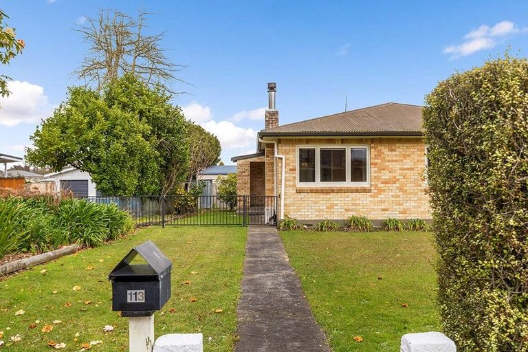 Photo of property in 113 Stanley Avenue, Te Aroha, 3320