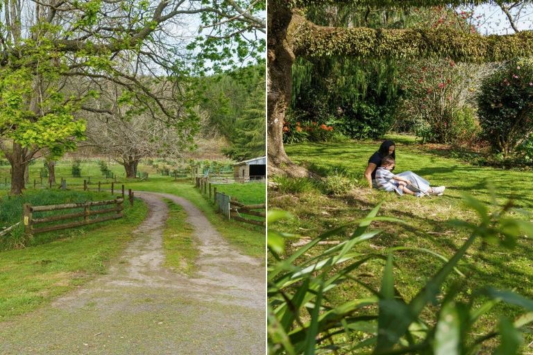 Photo of property in 868 Allport Road, Paengaroa, 3189