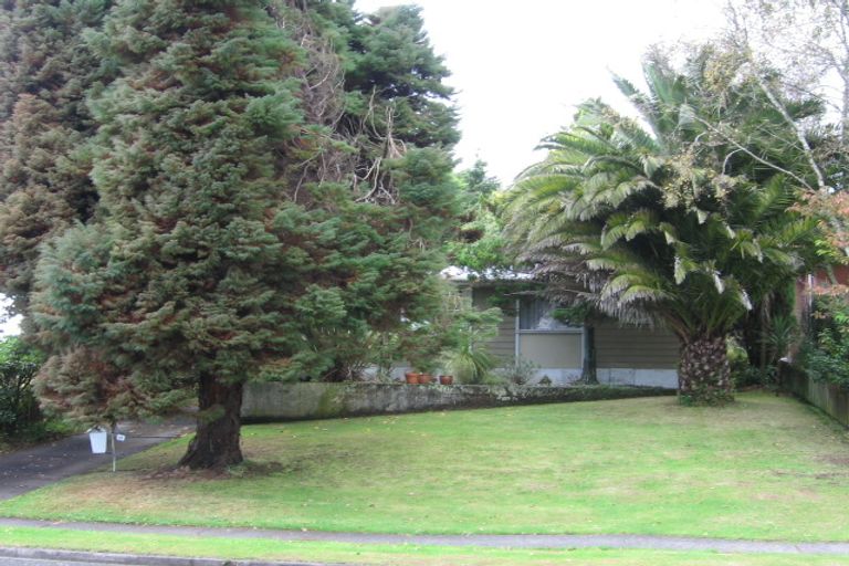 Photo of property in 45 Kauri Street, Tokoroa, 3420