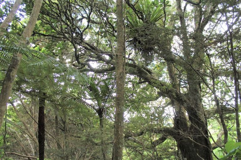 Photo of property in 16 North Ridge Rise, Maunu, Whangarei, 0179