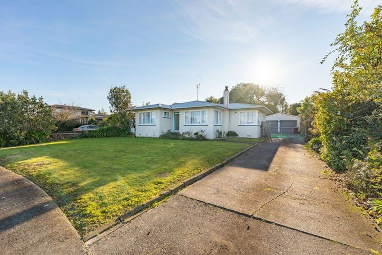 Photo of property in 8 Blenheim Place, Feilding, 4702