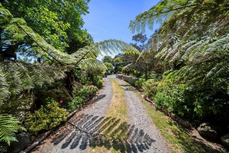 Photo of property in 55 Brecon Road S, Stratford, 4332