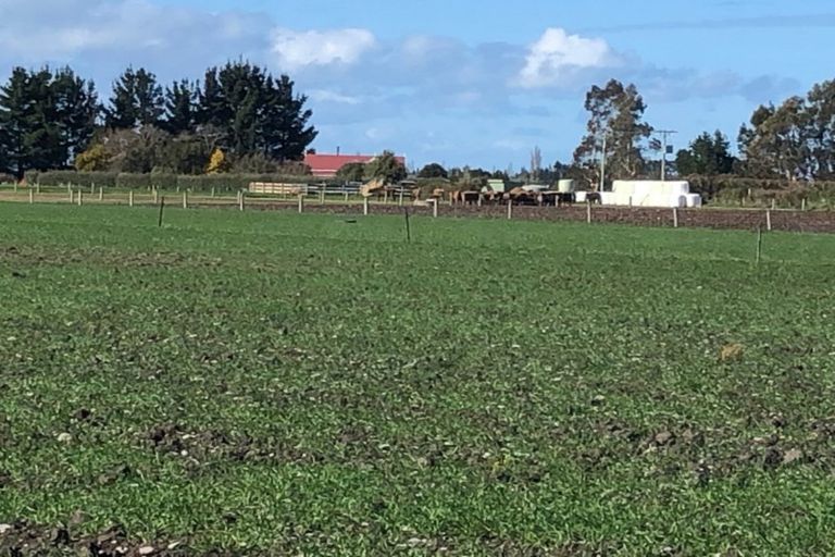 Photo of property in Laings Road, Tinwald, Ashburton, 7775