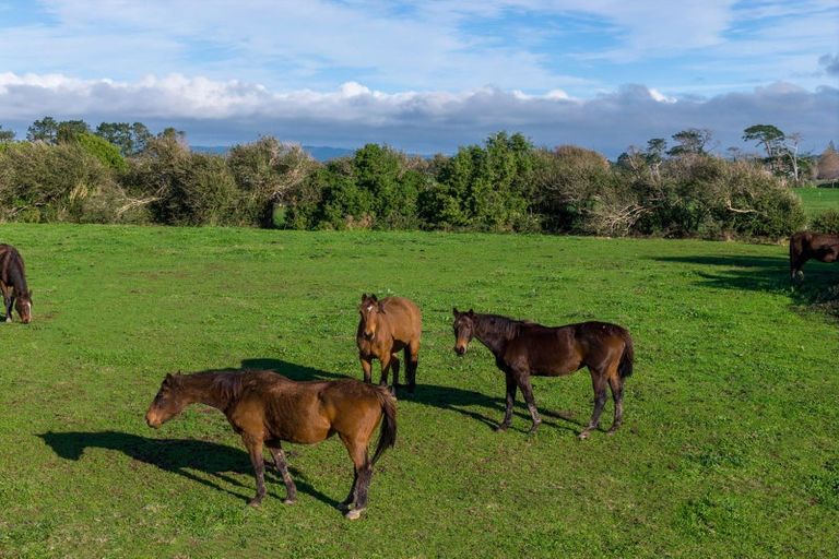 Photo of property in 45 Karioitahi Road, Waiuku, 2683