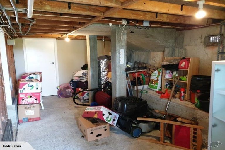 Photo of property in 31 Kaihuia Street, Northland, Wellington, 6012