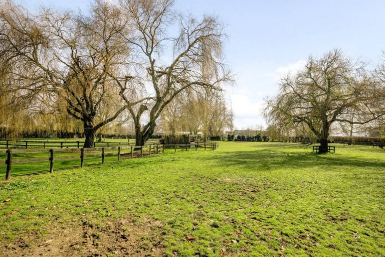 Photo of property in 31 Racecourse Road, Cambridge, 3493