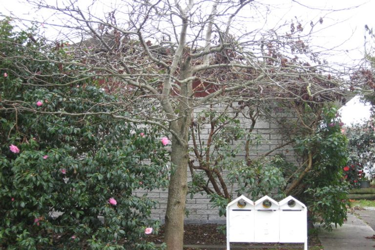 Photo of property in 2/5 Wilton Street, Levin, 5510