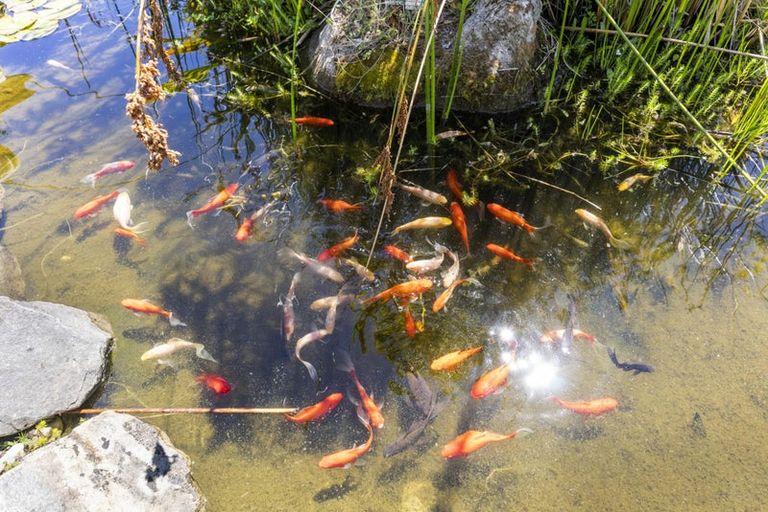 Photo of property in 70a Kirton Drive, Riverstone Terraces, Upper Hutt, 5018