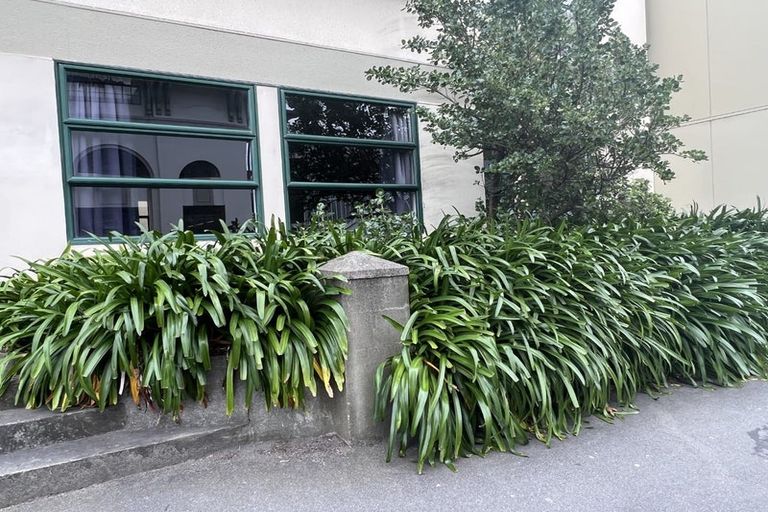 Photo of property in Te Awhina Apartments, 19/22u Sussex Street, Mount Cook, Wellington, 6021