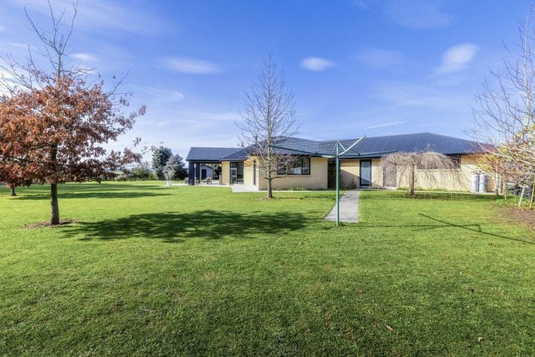 Photo of property in 255 Calico Line, Marton, 4787