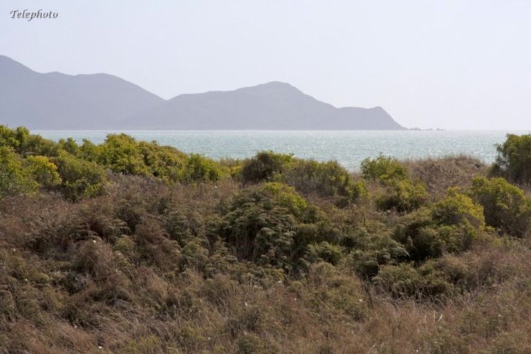 Photo of property in 47 Pingoa Lane, Peka Peka, Waikanae, 5391